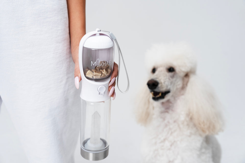 PET BOTTLE